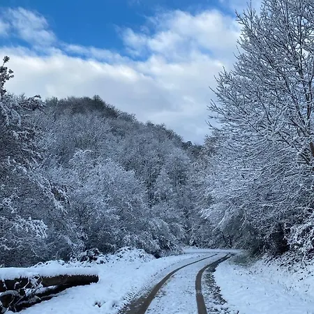 Maison Situee Au Val De Baubere, Petite Vallee A Cote Du Village De 펜션